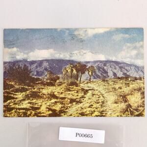 Seven Palms Desert Palm Springs California 1940s Postcard Wesco Color Card 1945
